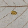 Fancy Yellow Pear Cut Lab Grown Diamond Loose Diamond